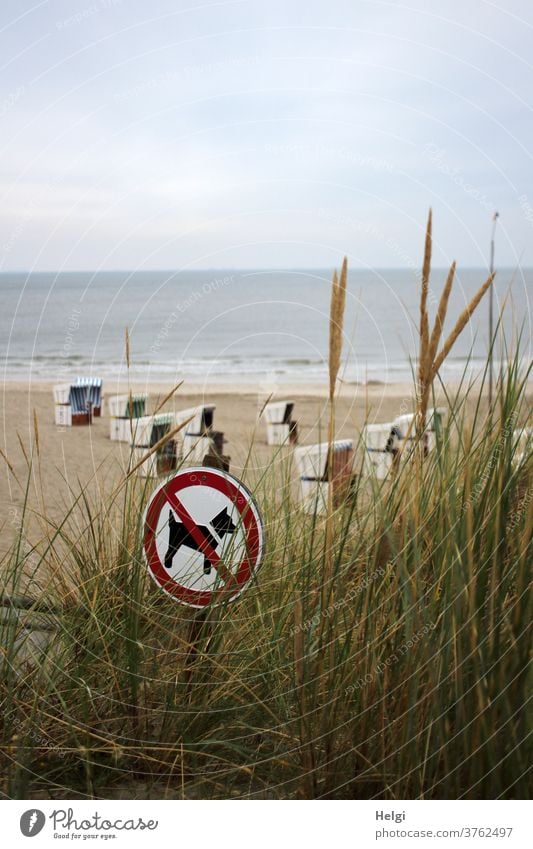 Schild "Hunde verboten" steht hinter Dünengras am Strand mit Strandkörben an der Nordsee Hundeverbot Meer Insel Nordseeinsel Wangerooge Verbotsschild Brandung