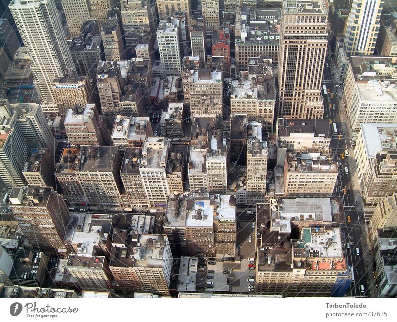 NYC vom EmpireState New York City Empire State Building Architektur Metroplis Stadt