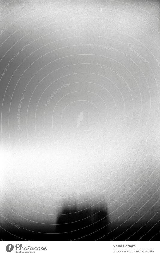 Baumgruppe unscharf analog Analogfoto Schwarzweißfoto schwarzweiß Außenaufnahme menschenleer Natur Tag Wolken grau Unschärfe Verwacklung