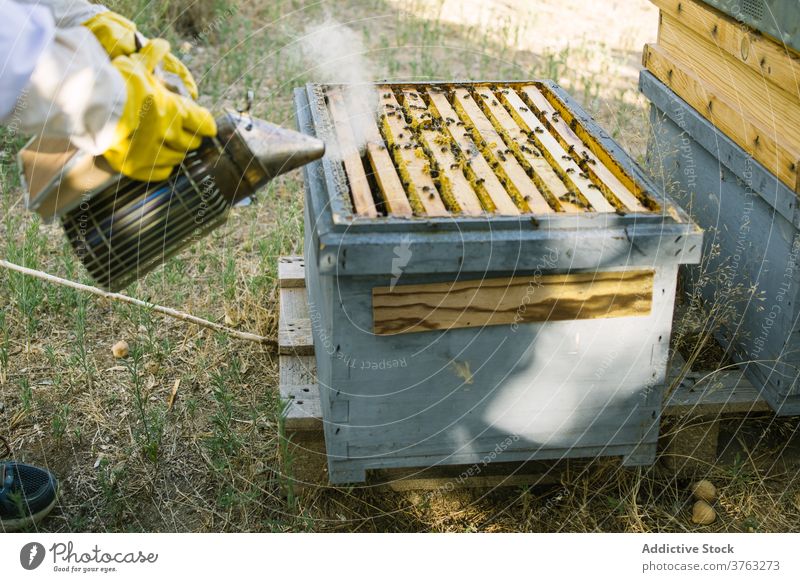 Imker bei der Arbeit im Bienenhaus in der Nähe des Bienenstocks Raucherin Bienenkorb Dunst Sommer Garten Landschaft Arbeiter Natur Beruf Metall Gerät