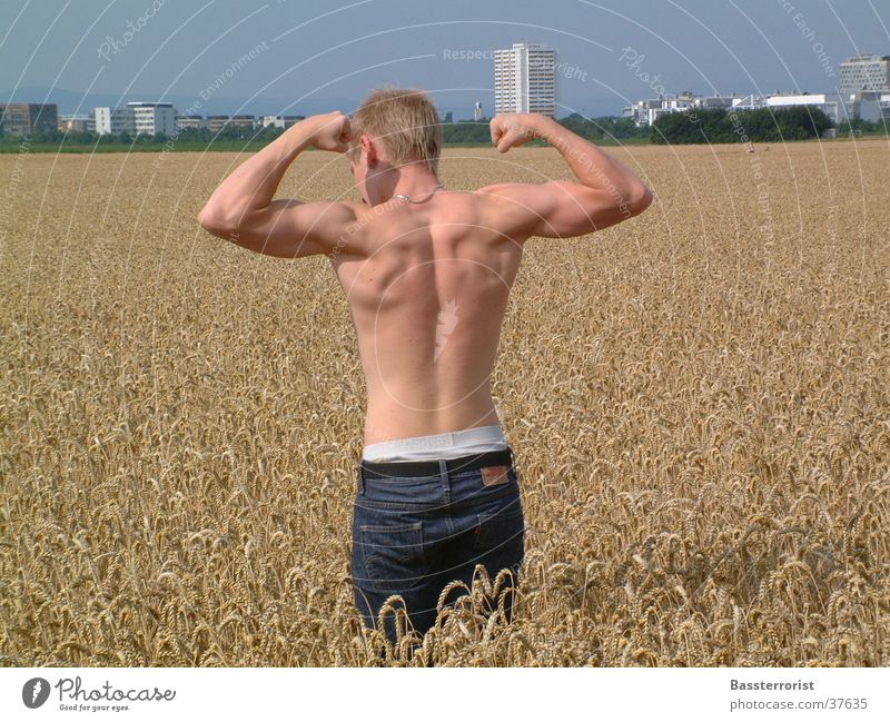 Nice back Feld Körperhaltung Mann Rücken Muskulatur