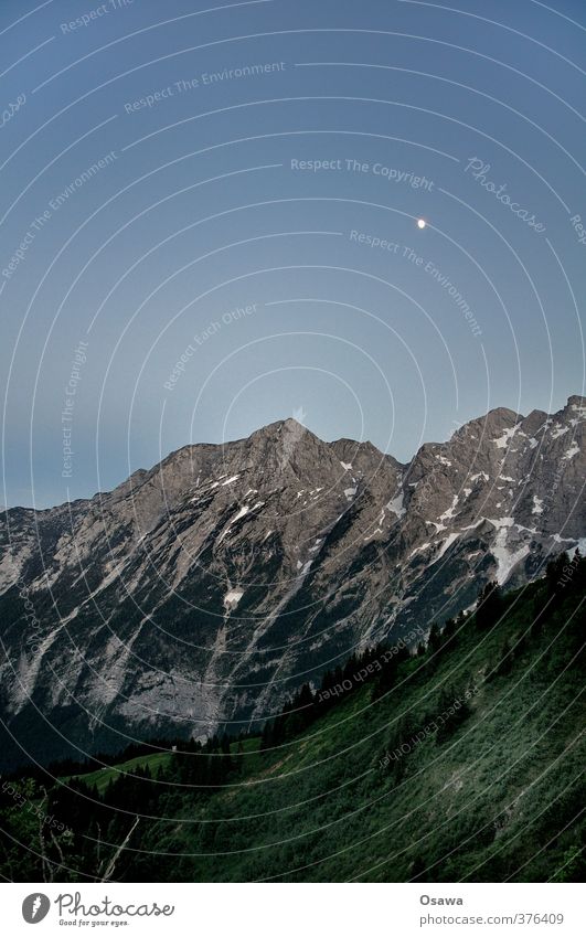 Göll Umwelt Natur Landschaft Pflanze Urelemente Himmel Wolkenloser Himmel Nachthimmel Mond Schönes Wetter Felsen Alpen Berge u. Gebirge Berchtesgadener Alpen