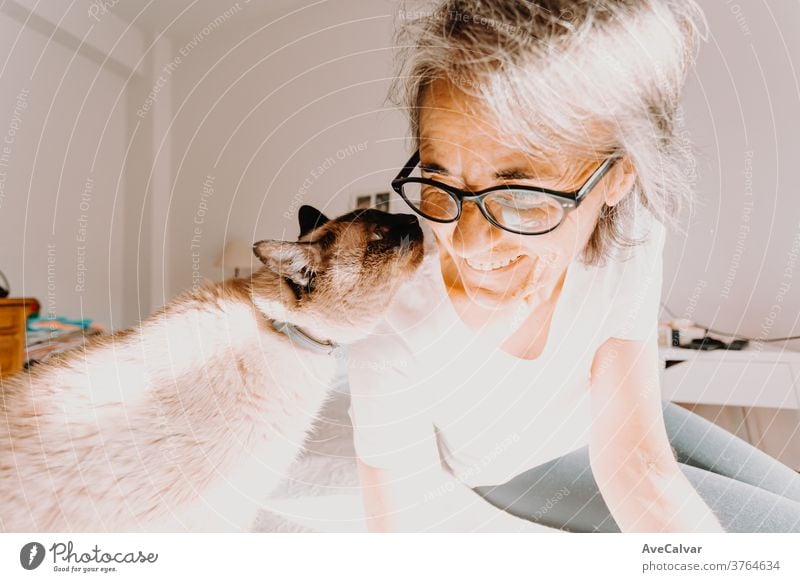 Alte Frau mit Brille lächelt und küsst lächelnd seine Katze auf seinem Schlafzimmer während eines superhellen Tages Person Haustier Freundschaft Küssen