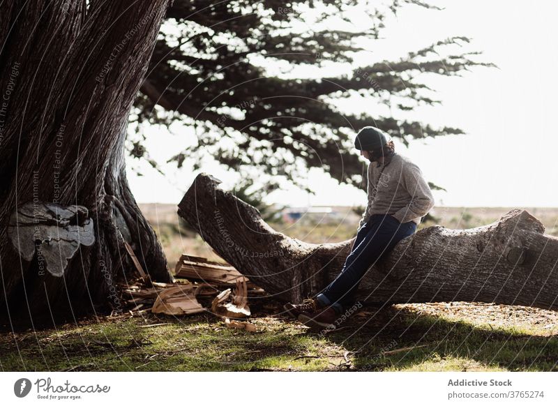 Mann entspannt auf Baumstamm Gelassenheit Kofferraum sich[Akk] entspannen Wald genießen Herbst Saison Sonnenlicht männlich USA Vereinigte Staaten amerika sonnig