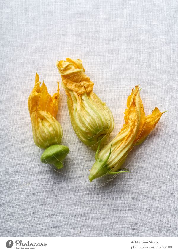 Flachleger mit Zucchiniblüten Blume Squash Gemüse gelb Lebensmittel frisch organisch Diät Vegetarier orange roh Gesundheit Pflanze essbar Blütenknospen