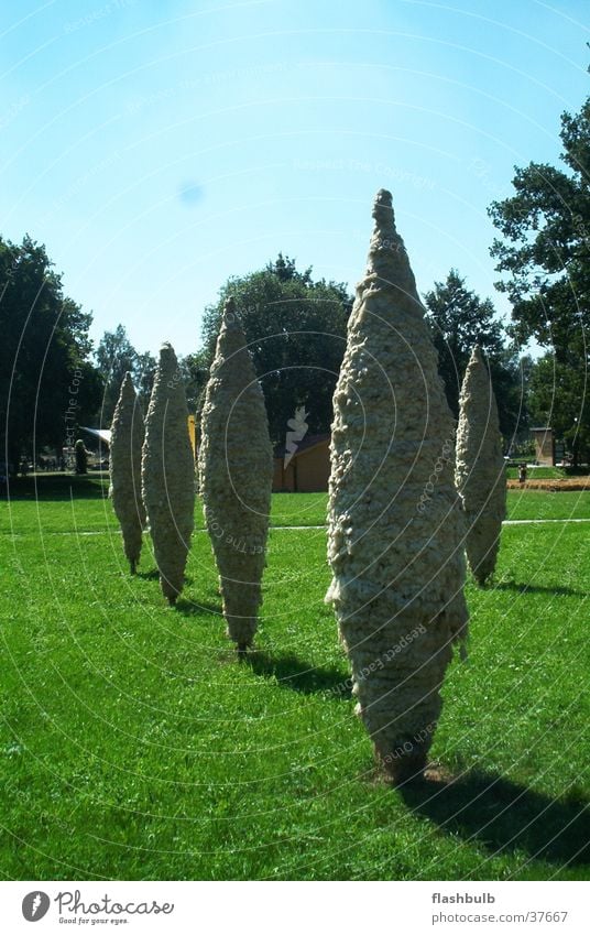 trees Kunst Baum Ausstellung Park Skulptur obskur Schafwolle