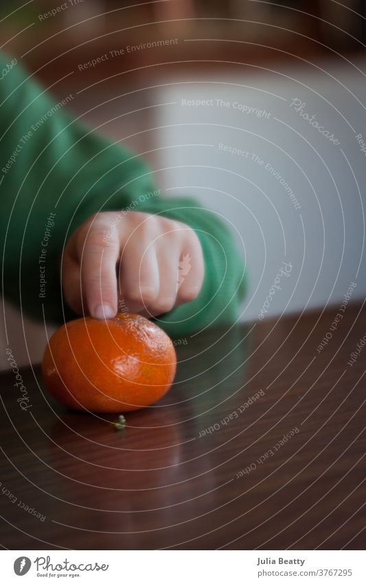 Kinderhand zeigt auf Clementinen-Zitrusfrucht; gesundes Naschen Zitrusfrüchte orange sich[Akk] schälen angeblättert Hand Punkt Finger Fingerfood Fingernägel