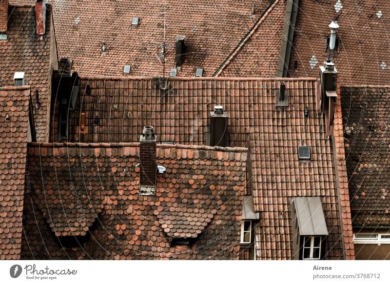 auf die Stadt herunterschauen Dachfirst Strukturen & Formen Dachfenster rot Bayern Franken Nürnberg First Giebel Dachgaube Gaube Süddeutschland Schornstein