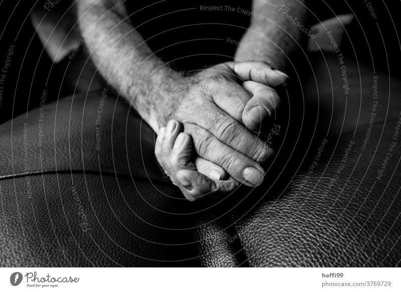 Hände Hand Person Menschen Nahaufnahme sitzend Finger faltig Mann Haut Erwachsener Porträt männlich altern