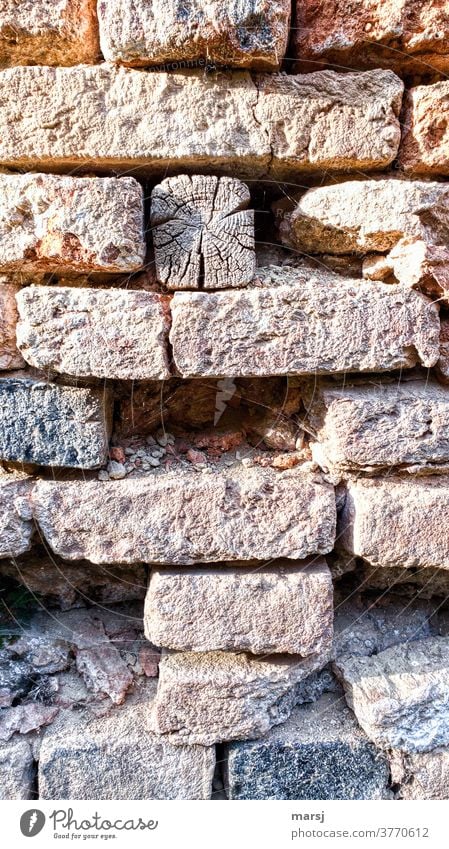 Verwittertes Kantholz in Ziegelmauer Mauer verwittert Verwitterung Verfall kaputt verfallen Vergänglichkeit alt Wand Farbfoto Strukturen & Formen