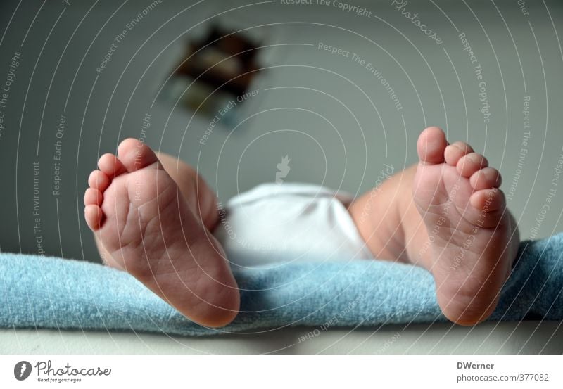 Zehnzehn oder so... Lifestyle Freude schön Pediküre Wohlgefühl Mensch Baby Kleinkind Beine Fuß 1 0-12 Monate Schuhe hängen liegen schlafen klein nackt niedlich