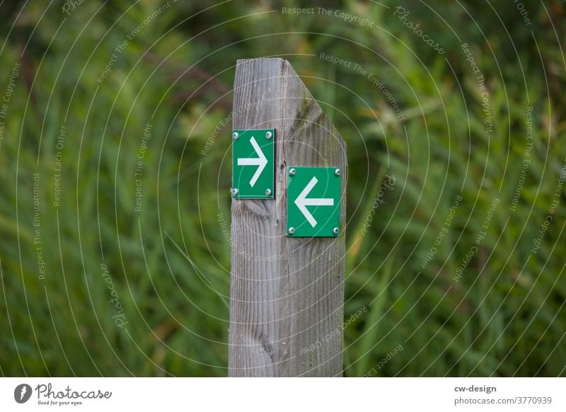surrealistische Richtungsangabe Grün Pfeil grün Orientierung Hinweis Hinweisschild Zukunft richtungweisend Schilder & Markierungen Wegweiser zeigen Empfehlung