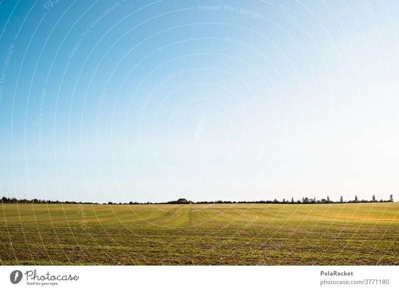 #A# Dänemarks Weite weite Weitwinkel Weitblick Himmel Landschaft Natur Außenaufnahme Ackerbau Ackerland Landwirtschaft