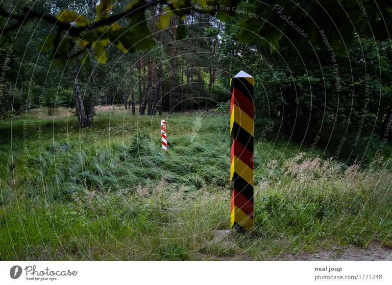 Grüne Grenze zu Polen Grenzpfahl Deutschland Nachbarschaft Natur Wald dunkel Wiese Freiheit Nähe Vertrauen Geschichte Außenaufnahme Menschenleer