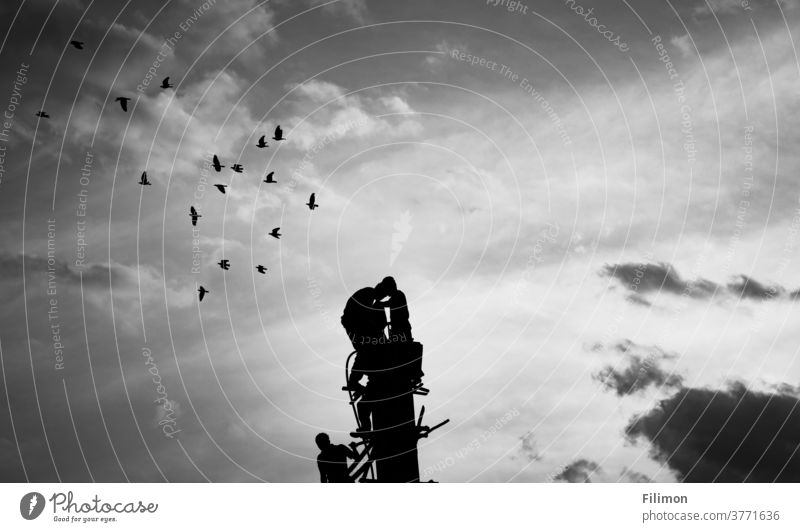 Menschen auf dem Bau arbeiten mit Vögeln, die über den Himmel fliegen Schwarzweißfoto wunderschöner Himmel Arbeit Fotografie