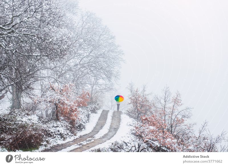 Unerkennbare Person, die im Winter die Straße entlang läuft Park farbenfroh Regenschirm Schnee Schneefall Spaziergang kalt Saison Pyrenäen Katalonien Spanien