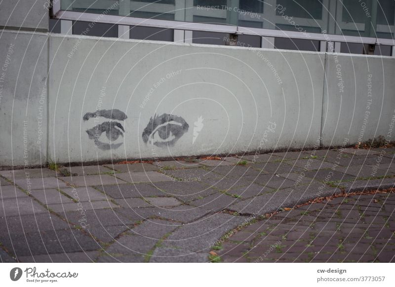 Zwei Augen - gezeichnet & gemalt Graffiti Strretart geöffnete Augen augenpartie Wand Außenaufnahme Menschenleer Gesicht Frau Junge Frau feminin Gehweg