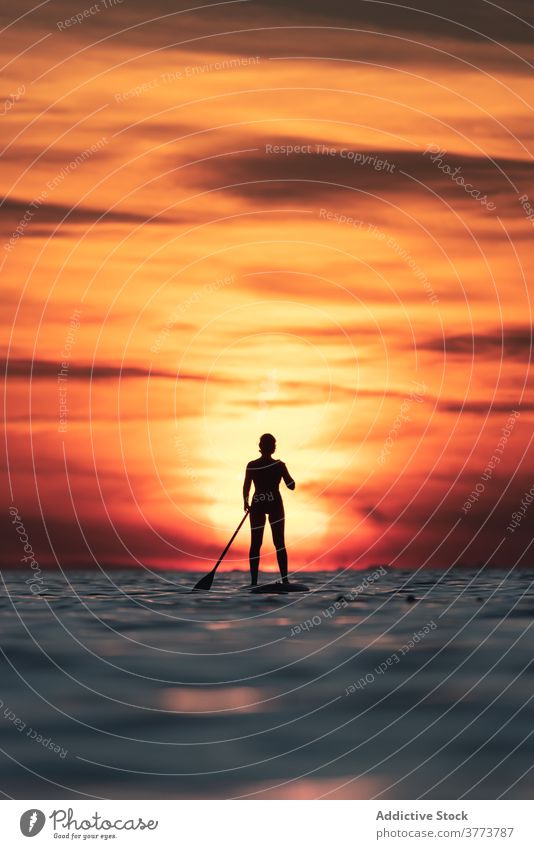 Anonyme Frau beim Üben auf dem Paddelbrett bei Sonnenuntergang Surfer Zusatzplatine Silhouette Reihe MEER Training Surfbrett Sommer Holzplatte sportlich stehen