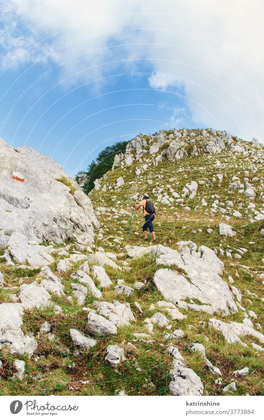 Männer, die an einem sonnigen Tag in den Bergen wandern Stöcke Sport Natur im Freien acivity Erholung Nachlauf Person Rucksack reisen Herausforderung anstrengen