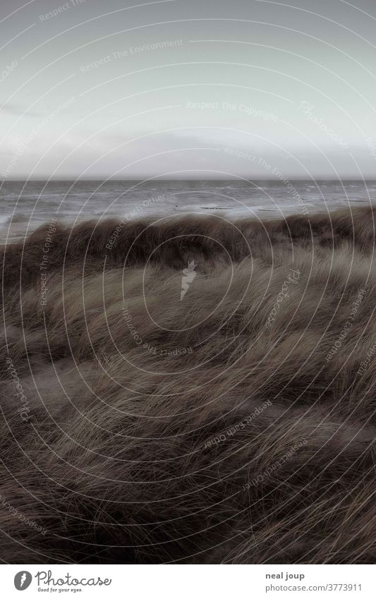Blick von den Dünen auf die stürmische Nordsee Natur Landschaft Meer Sturm düster Wind Doppelbelichtung Außenaufnahme Küste Menschenleer Urelemente
