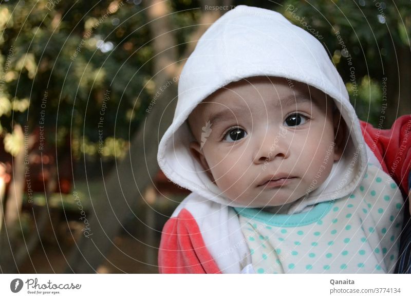 Verwirrtes Baby starrt in die Kamera Säuglingsalter Babyjunge starren niedlich Niedlichkeit bezauberndes Baby verwirrt Auge funkelnde Augen erstaunt