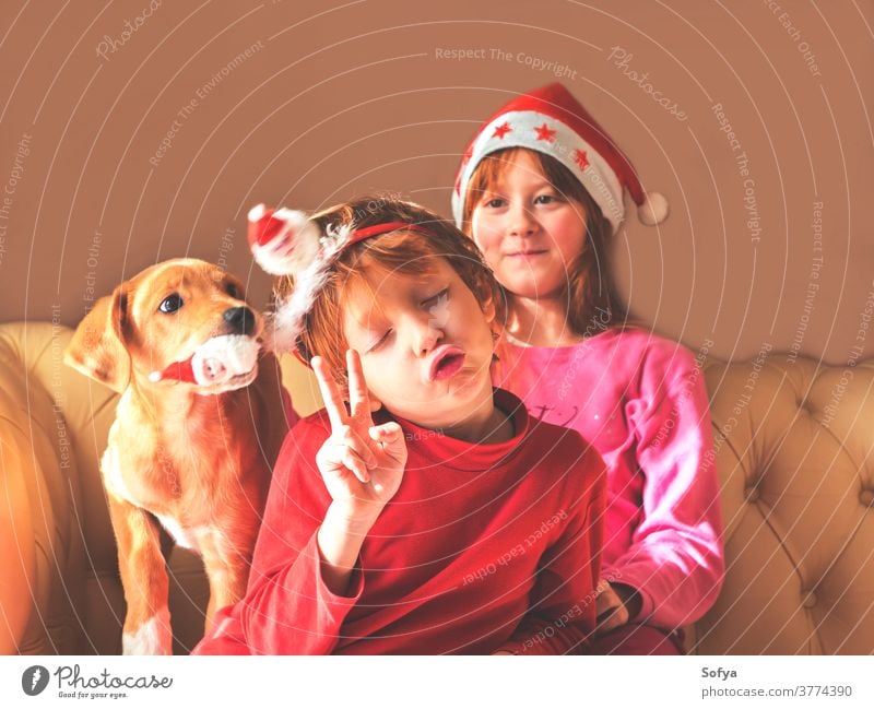 Kinder mit Weihnachtsmannmützen spielen mit einem süßen Welpen Weihnachten authentisch Neujahr Stimmung Lächeln Verschlussdeckel rot Hund Haustier Winter Spaß