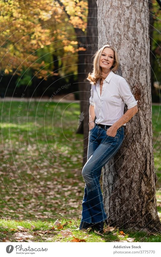 Lächelnde Frau in der Nähe von Baum im Park schlendern sich[Akk] entspannen genießen Saison Sonnenlicht Garten sorgenfrei Herbst fallen Stil Erholung Großstadt