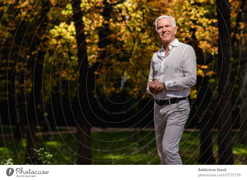Mann mittleren Alters im Herbst Park reif elegant sich[Akk] entspannen schlendern fallen Lebensmitte Gelassenheit männlich Großstadt Garten Outfit friedlich
