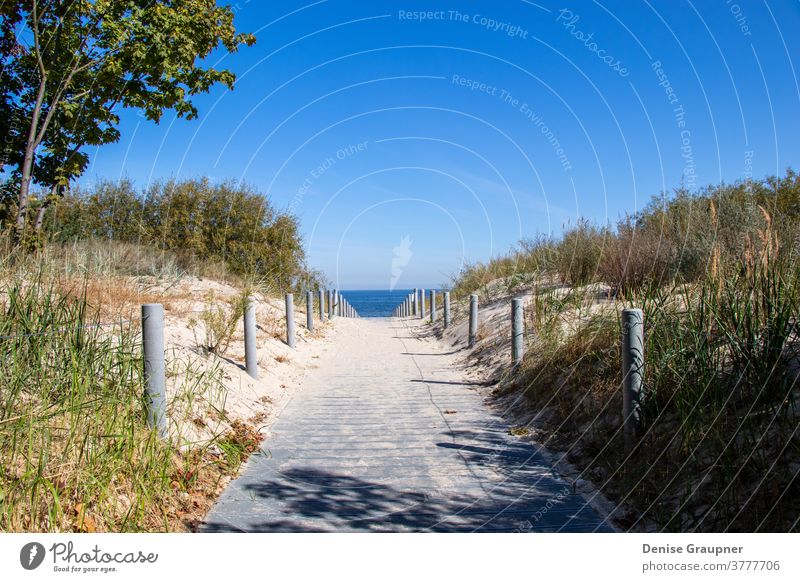 Weg zum Strand der Ostsee auf Usedom Küste Deutschland MEER Himmel baltisch Meer Insel Urlaub Sand Düne Gras Horizont Landschaft Sommer Wasser blau Feiertag