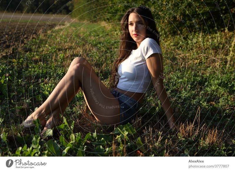 Portrait einer jungen Frau, die vor einem Wald am Feldrand im Gras sitzt schön nah fit anmutig Haut Gesicht blond schauen direkt langhaarig schlank sportlich