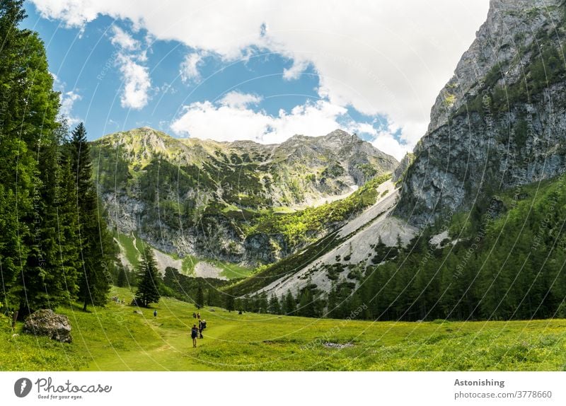 Wandern in den Alpen Berg Gipfel Pyhrgas Wiese wandern Österreich Felsen hoch steil hinauf Tal Baum Wald Himmel Aussicht Wolken Natur Landschaft Stein