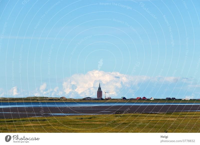 Ebbe im Watt - Blick über Salzwiesen und Wattenmeer auf den Westturm von Wangerooge, hinter dem sich eine Dicke Wolke vor blauem Himmel auftürmt Insel Nordsee