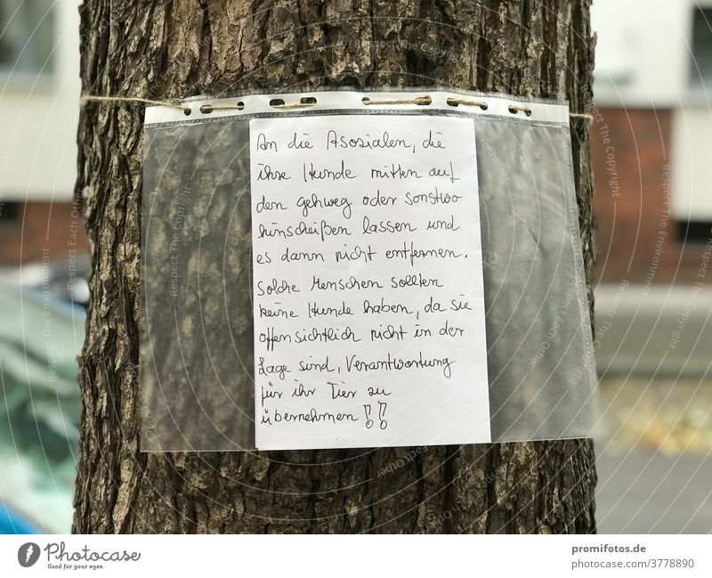 Zettel an Baum: Asozialer und verantwortungsloser Hundebesitzer lässt Kot seines Hundes liegen. Gesehen in Berlin. Foto: Alexander Hauk Aushang Tageslicht