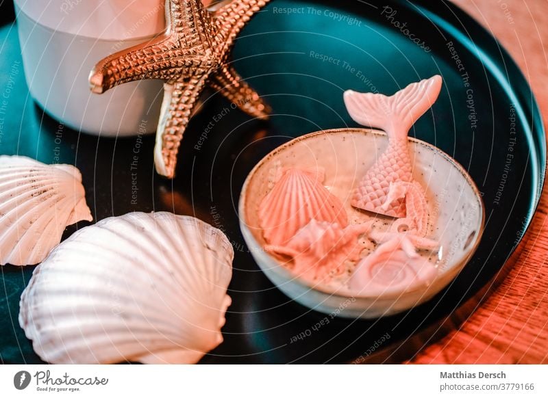 Meerjungfrauen-Deko Dekoration & Verzierung dekor Meeresfrüchte Meeresstimmung maritim Farbfoto Nahaufnahme Kreativität