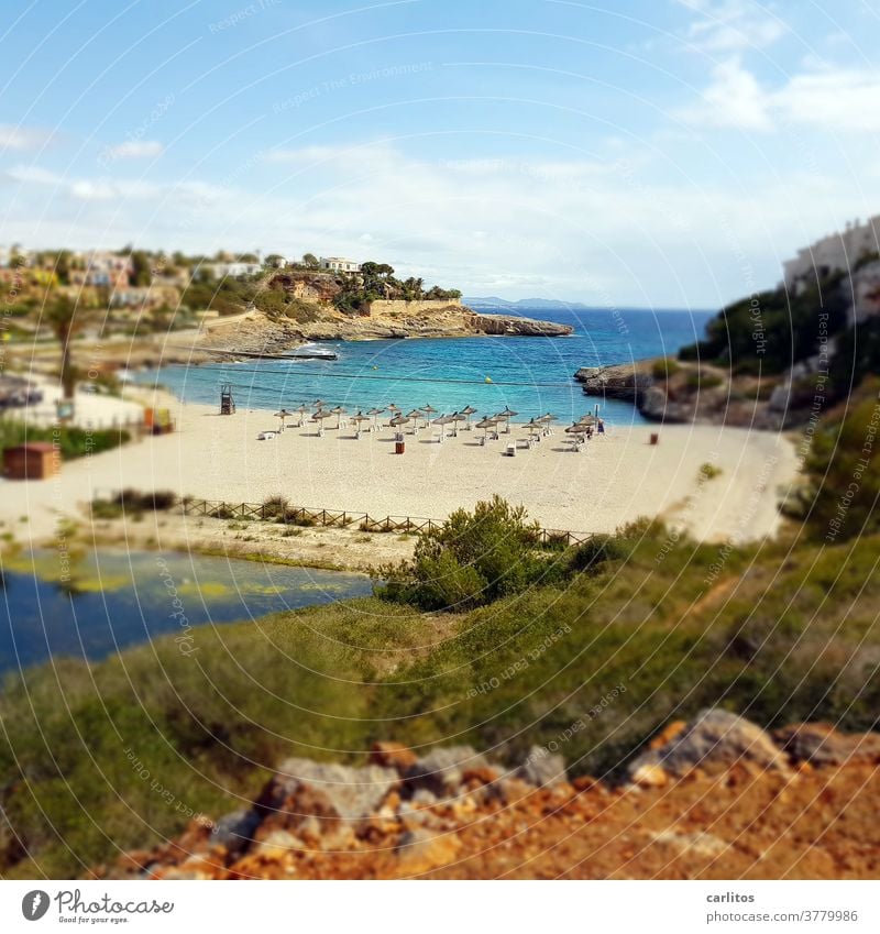 Mallorca | kleiner Strand .... leer ! Spanien Balearen Küste Bucht Leer Corona Reisewarnung Infektionszahlen Quarantäne Ferien & Urlaub & Reisen Meer Sommer
