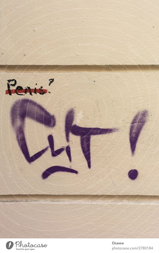 Genitaler Dialog Text Tag Graffiti Grafik u. Illustration Wand Putz Mauer Schriftzeichen Schmiererei Wort Fassade Straßenkunst Buchstaben Penis Clit