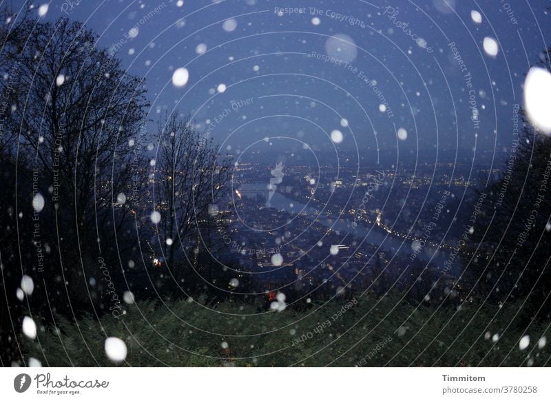 Frohe Weihnachten - statt Karten Schnee Schneefall Winter Weihnachten & Advent Wald Heidelberg Nacht dunkel Außenaufnahme Schneeflocke Himmel Neckar Fluss