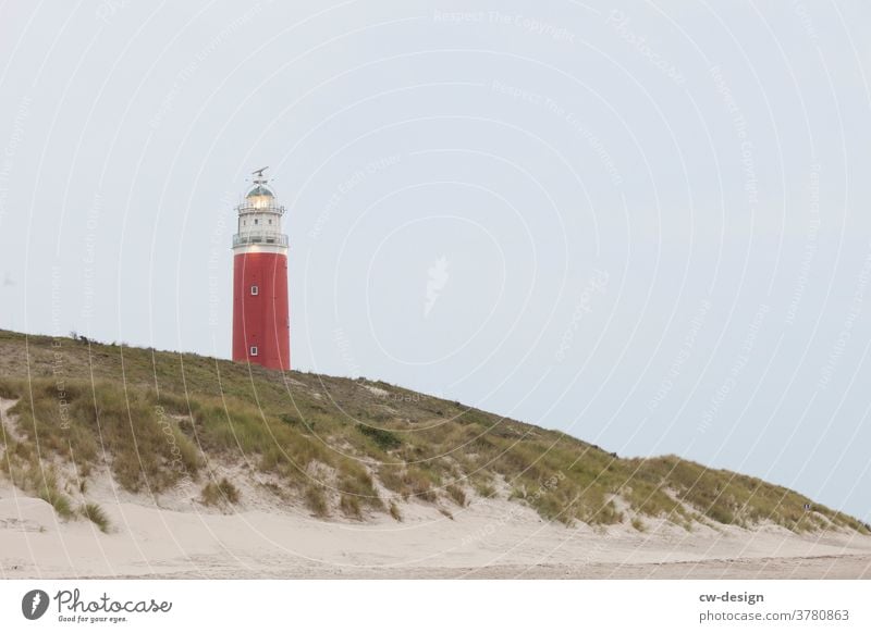 Leuchtturm auf Texel leuchten Leuchtfeuer Strand Düne Niederlande Nordsee Meer Wolken Küste Himmel Außenaufnahme Farbfoto Landschaft Ferien & Urlaub & Reisen