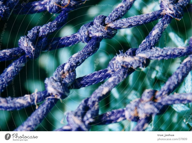 Lebensnetz Schlaufe Freizeit & Hobby Netz Detailaufnahme Natur blau Knoten