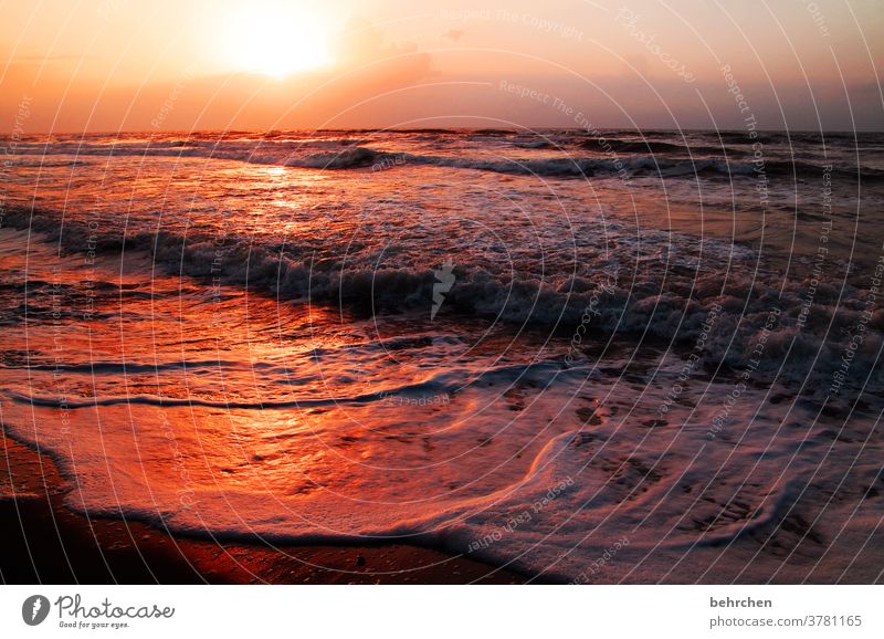 hoffnung und kraft Wasser genießen Schönes Wetter Wellen tortuguero Costa Rica Kitsch schön orange Außenaufnahme Farbfoto Sonnenlicht Gegenlicht Sonnenuntergang