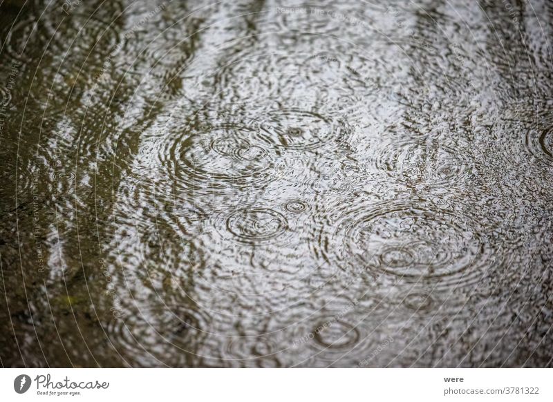 Regentropfen fallen an einem regnerischen Tag ins Wasser und bilden konzentrische Kreise Herbst Tropfen Herbstwetter schlechtes Wetter Textfreiraum tropfend