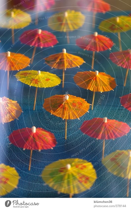 Wir wollen Sonne !!! Sonnenschirm Schirm Papierschirmchen stehen dünn klein mehrfarbig gelb orange rot Dekoration & Verzierung Cocktail Eisbecher verziert