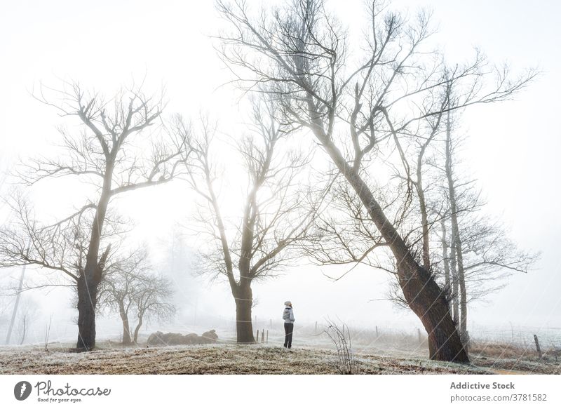 Unerkennbare Frau steht in nebliger Landschaft auf dem Lande Straße Nebel Gasse Wald kalt allein trist Weg Wanderung Natur Spaziergang Herbst Winter Saison