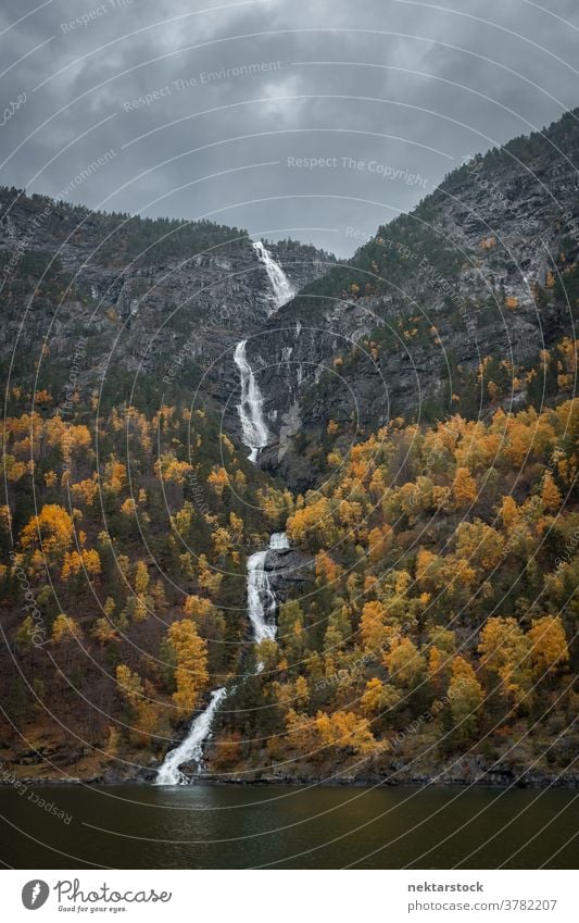 Kjosfossen-Wasserfall, der zwischen herbstlichen Bäumen fließt Berge u. Gebirge Herbst Norwegen Norden Natur natürliche Beleuchtung im Freien Landschaft