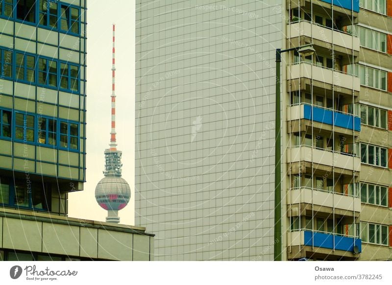 Berliner Fernsehturm zwischen zwei Plattenbauten Gebäude Alexanderplatz Turm Wahrzeichen Architektur Sehenswürdigkeit Hauptstadt Stadtzentrum Berlin-Mitte