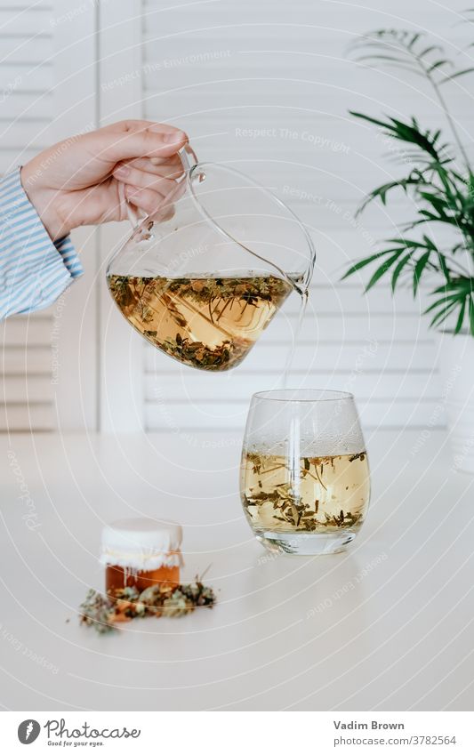 Kräutertee Tee Kräuterbuch trinken Gesundheit Medizin Kraut Tasse Getränk natürlich Teetasse aromatisch Glas
