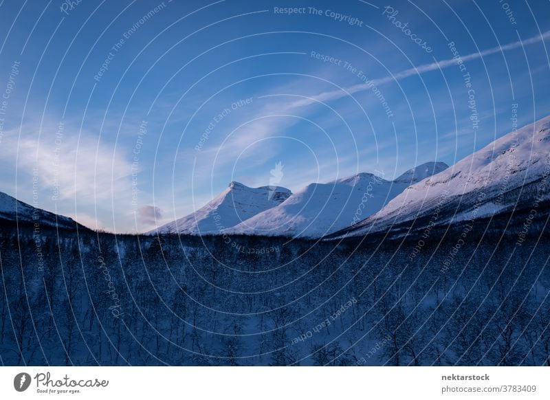 Malerische Winterlandschaft mit schneebedeckten Bergen und blauem Himmel Berge u. Gebirge Schnee Wald Norwegen Norden kalt natürliche Beleuchtung Natur