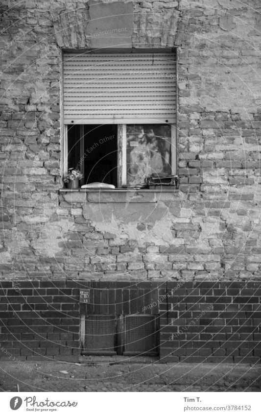 Fenster Babelsberg s/w Schwarzweißfoto window b/w b&w Einsamkeit Architektur Detailaufnahme B&W Altbau Fassade Potsdam dunkel
