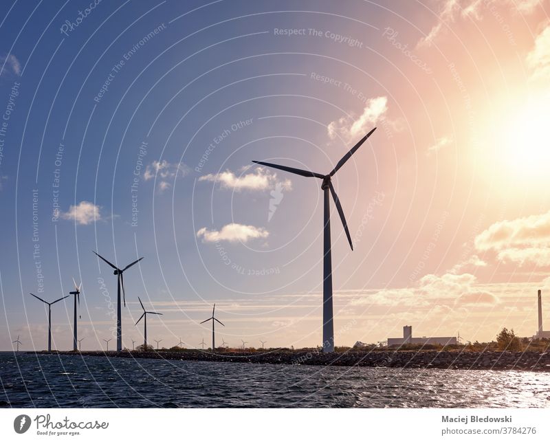 Windturbinen an der Küste bei Sonnenuntergang. Turbine Ökostrom Wasser Energie MEER Industrie Dänemark Landschaft Erzeuger Umwelt Natur Himmel Konzept Bild