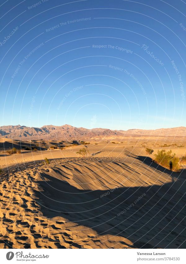 Mesquite-Flache Sanddünen im Death Valley National Park, Kalifornien, USA Todestal-Nationalpark Landschaft wüst reisen malerisch Ferien & Urlaub & Reisen